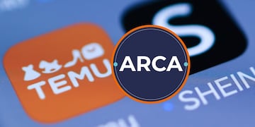 Cuántos productos puedo comprar en Shein y en Temu sin tener problemas con ARCA