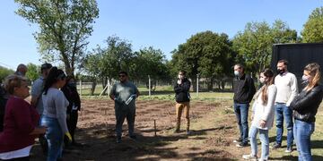 Avanza la huerta en el DIAT