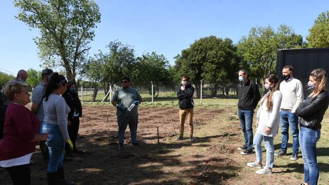 Avanza la huerta en el DIAT