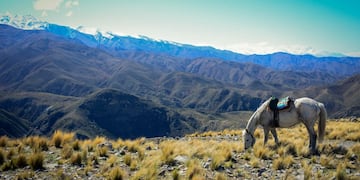 Mendoza es uno de los destinos más elegidos por los cordobeses.