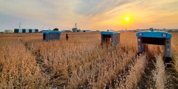 Agricultura Computacional: proyecto mineral del laboratorio X de Alphabet Inc., una empresa multinacional estadounidense cuya principal filial es Google