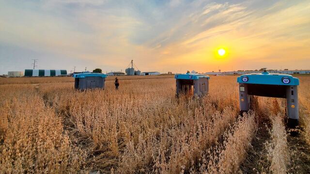 Agricultura Computacional: proyecto mineral del laboratorio X de Alphabet Inc., una empresa multinacional estadounidense cuya principal filial es Google
