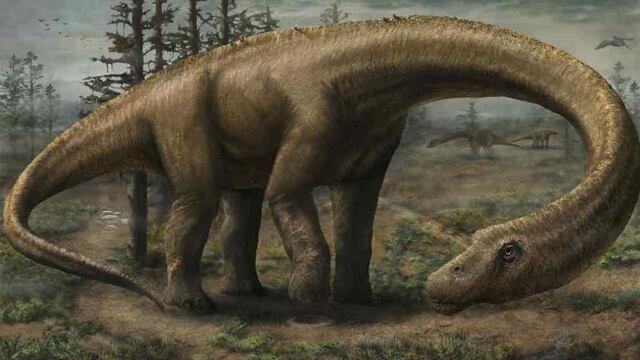 (imagen ilustrativa)