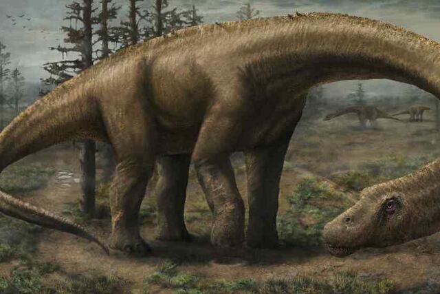 (imagen ilustrativa)