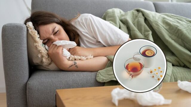 Olvidate de la gripe con estas 4 infusiones naturales que de verdad ayudan.