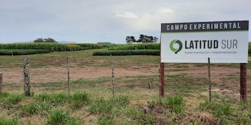 Primer Encuentro sobre producción de cultivos extensivos con productos biológicos y estrategias sustentables en Tandil