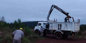 El saldo de la tormenta en Puerto Libertad: caída de postes y líneas eléctricas en zonas rurales.