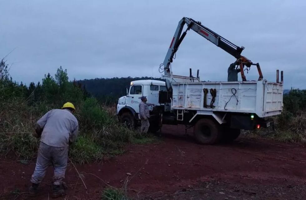 El saldo de la tormenta en Puerto Libertad: caída de postes y líneas eléctricas en zonas rurales