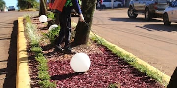 Eldorado impulsa nuevas acciones de embellecimiento urbano con enfoque sustentable.