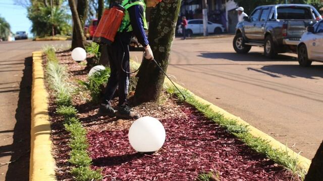 Eldorado impulsa nuevas acciones de embellecimiento urbano con enfoque sustentable.