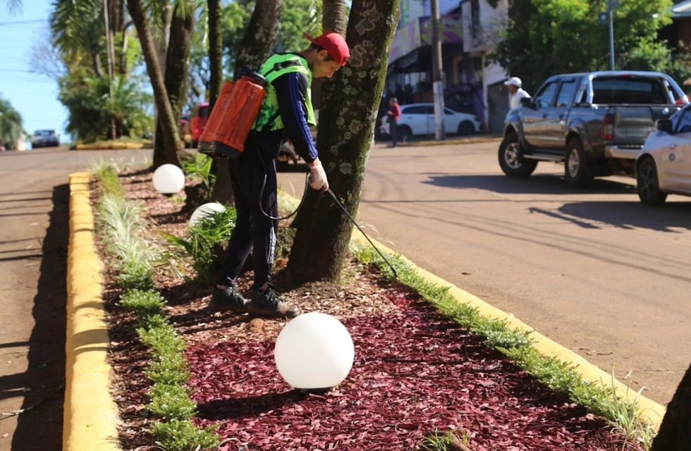Eldorado impulsa nuevas acciones de embellecimiento urbano con enfoque sustentable