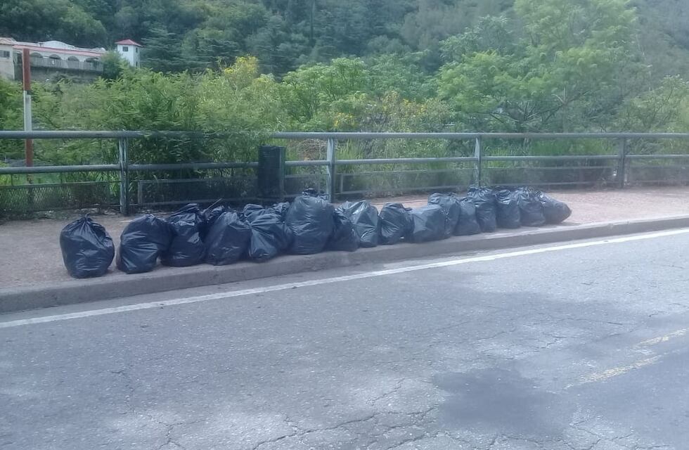 Intensas jornadas de limpieza en las costas del Lago San Roque
