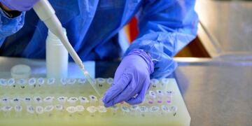 Nuevo descubrimiento en la Universidad de Michigan. (Foto: Web)