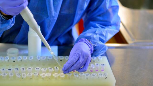 Nuevo descubrimiento en la Universidad de Michigan. (Foto: Web)