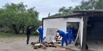 Operativos de prevención del Chagas en el Valle
