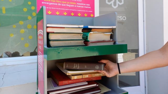 "Reciclando emociones", el programa del Instituto para el Desarrollo Sustentable