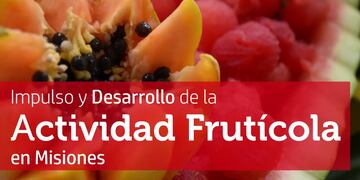 La provincia de Misiones apunta y consolida la industria frutícola.