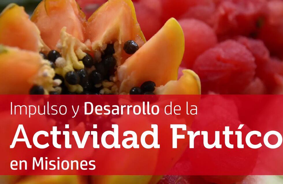La provincia de Misiones apunta y consolida la industria frutícola