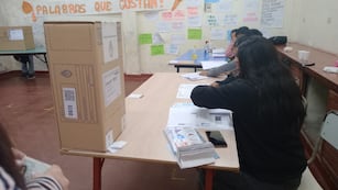 Como particularidad de esta elección de medio término, por primera vez se utilizó en todo el país la boleta única de papel, en la que figuran todas las listas de candidatos, como también se eliminó el uso de "cuarto oscuro".