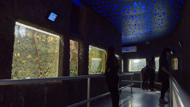 La municipalidad transformará al Acuario en un Centro para la Conservación de la Biodiversidad. Gentileza MCM