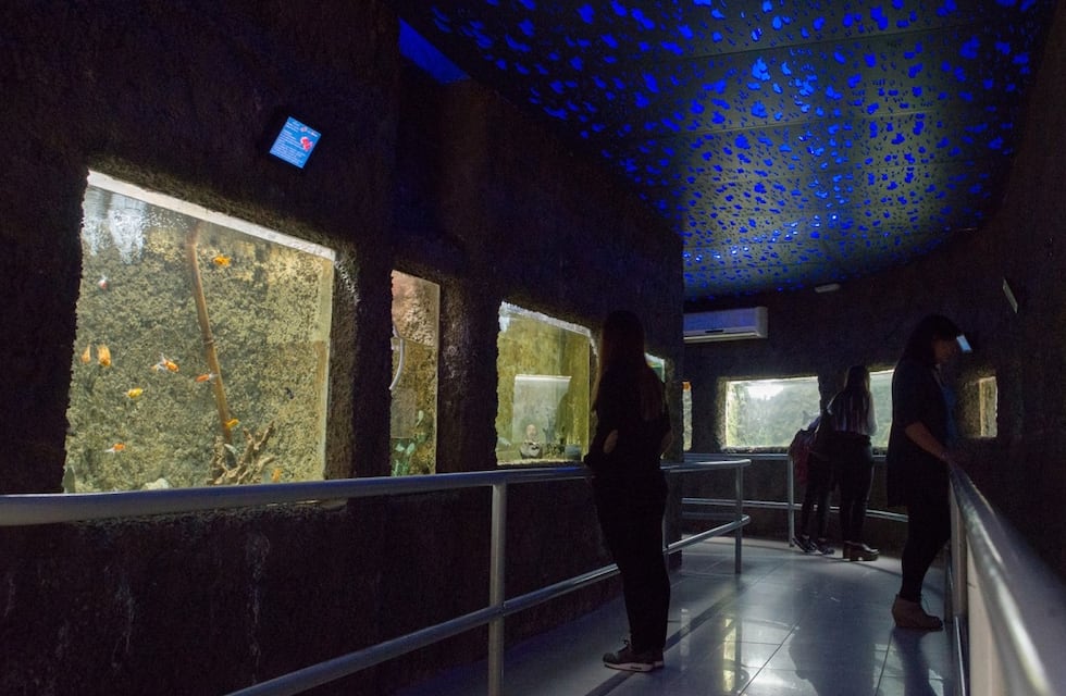 Convertirán el Acuario en un Centro de Conservación de la Biodiversidad