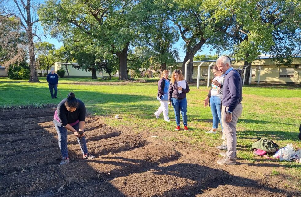 Experiencia de huerta y compost para la tercera edad