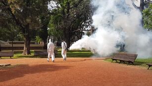 El operativo comenzó en el parque de la Independencia.