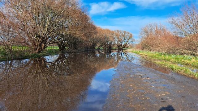 Consecuencias de las intensas lluvias en Tandil