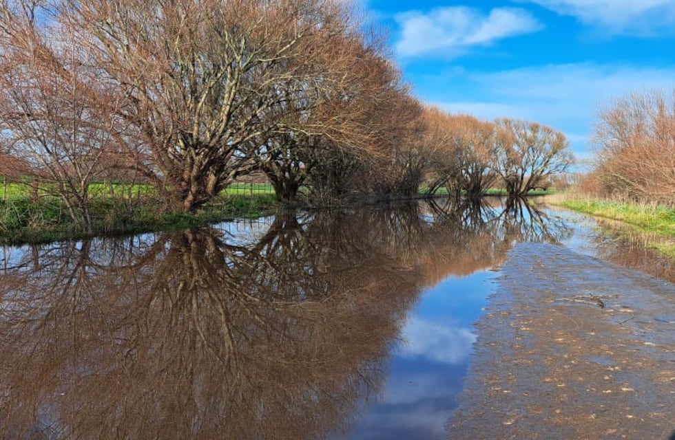 Desborde en Tandil del arroyo Chapaleofú: generó problemas en un paraje rural