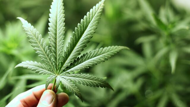 Será a partir de las 13hs. en Plaza San Martín.