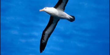 Se presentará el miércoles en los polos creativos de Ushuaia y Río Grande.