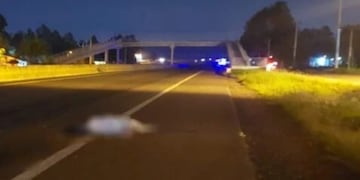 Siniestro fatal en Candelaria: aun no se logró identificar al peatón fallecido sobre la ruta 12.