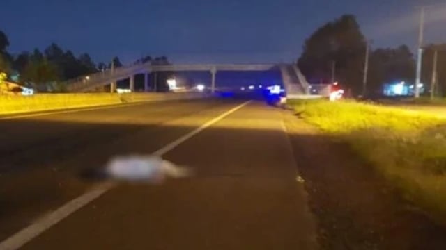 Trágico accidente vial se cobró la vida de un peatón en Candelaria.