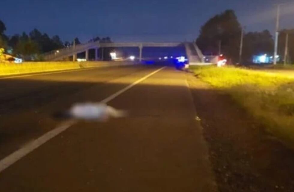 Siniestro fatal en Candelaria: aun no se logró identificar al peatón fallecido sobre la ruta 12