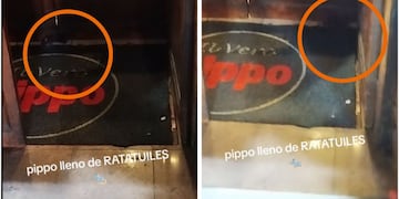 Grabaron ratas en un reconocido local de pastas en Buenos Aires