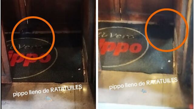 Grabaron ratas en un reconocido local de pastas en Buenos Aires