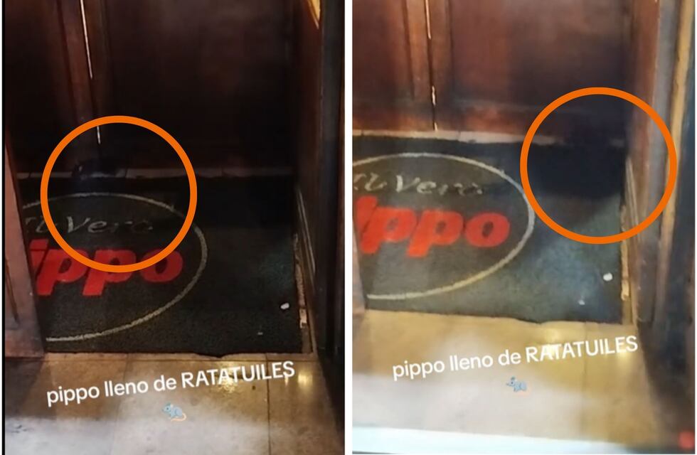Grabaron ratas en un reconocido local de pastas en Buenos Aires