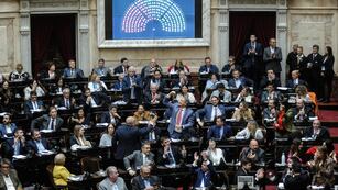 Tras la sanción de la Ley Bases, el Congreso trabajará en una agenda diversa (Foto: Federico López Claro)