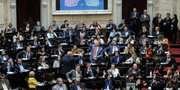 Tras la sanción de la Ley Bases, el Congreso trabajará en una agenda diversa (Foto: Federico López Claro)