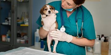 Imagen ilustrativa. (Vitalcan)