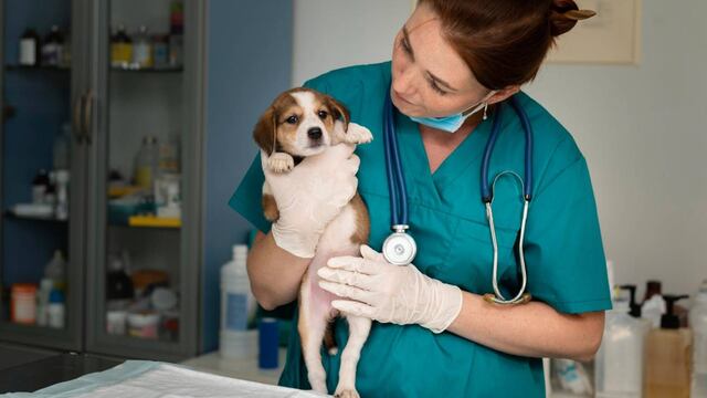 Imagen ilustrativa. (Vitalcan)