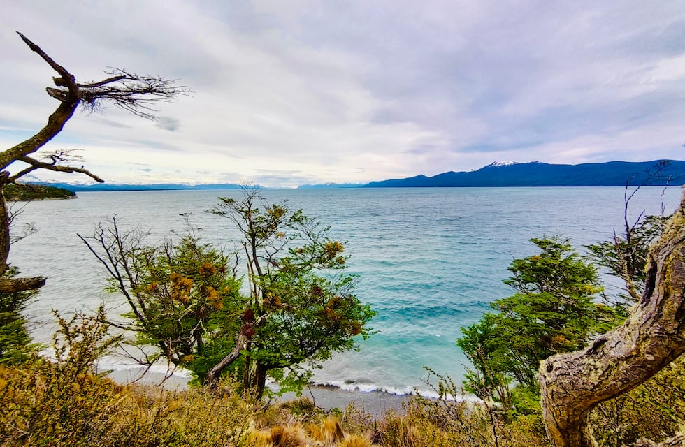 “Primavera Fest” en Tolhuin