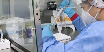 El laboratorio de biología molecular en Rafaela realizó 700 estudios,