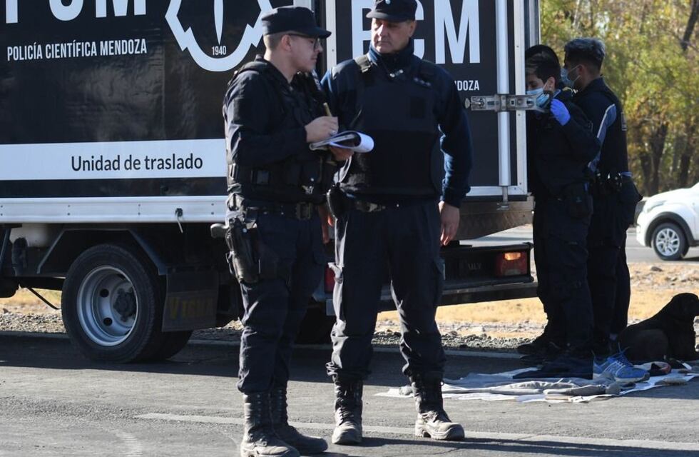 Macabro hallazgo en Mendoza: un perro encontró un cráneo humano y se lo llevó a un obrero que estaba en el lugar