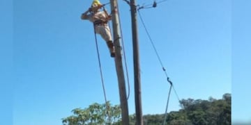 Comandante Andresito: continúan ejecutando obras de mejoramiento en el tendido eléctrico.
