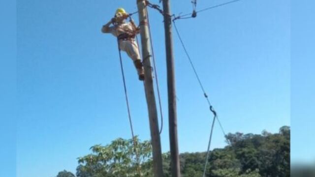 Comandante Andresito: continúan ejecutando obras de mejoramiento en el tendido eléctrico.
