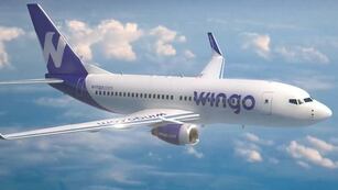 Wingo