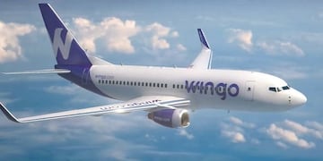 Wingo