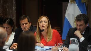 Bicameral de DNU
en el senado de la nación
Argentina 
Anabel Fernandez Sagasti mariano recalde
Foto Federico Lopez Claro