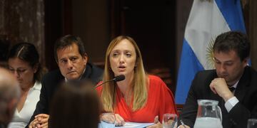 Bicameral de DNU
en el senado de la nación
Argentina 
Anabel Fernandez Sagasti mariano recalde
Foto Federico Lopez Claro